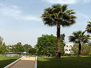 jardim