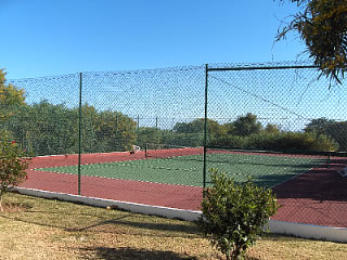 tenis